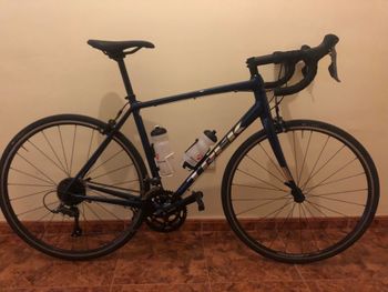 Trek - Domane AL 2 2024, 2024