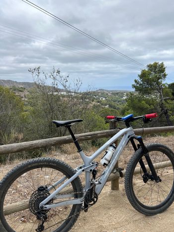 Used Trek Fuel EX 9.8 29 2019 2019 Mountainbike, Gris claro — image 2 of 11