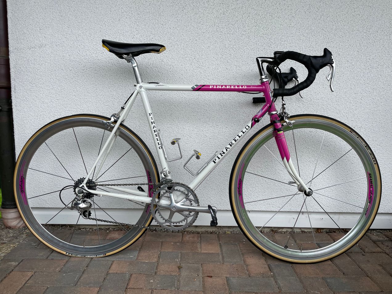 Pinarello Asolo used in 55 cm buycycle