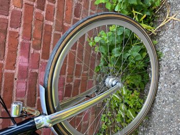 Used Schindelhauer Friedrich XI 2022 Road & Gravel, Blue — image 13 of 19