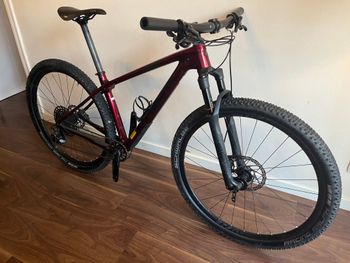 Trek - Procaliber 9.7 2020, 2020