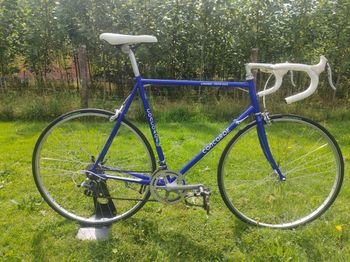 Cinelli - Experience, 1980