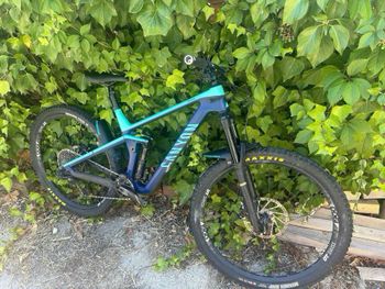 Canyon - Strive CF 6.0 2019, 2019