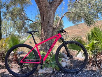 Specialized - Men's Epic Hardtail Comp 2019, 2019