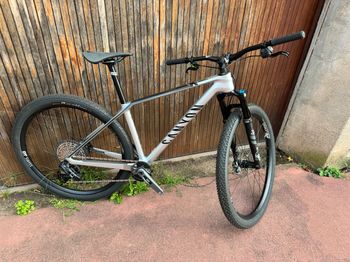Used Canyon Exceed CF 8 2023 2023 Mountainbike, Hellgrau, 29 — image 10 of 14