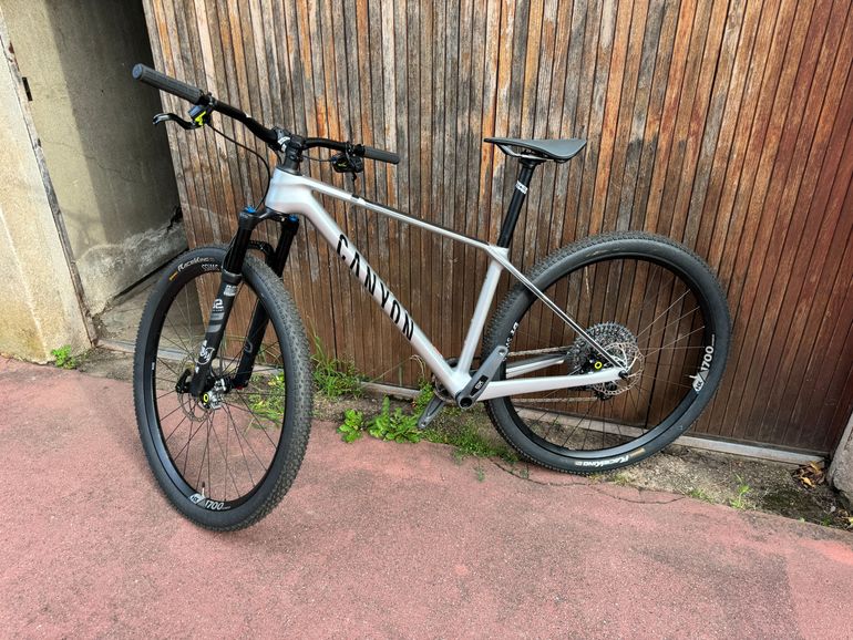 Used Canyon Exceed CF 8 2023 2023 Mountainbike, Hellgrau, 29 — image 1 of 14