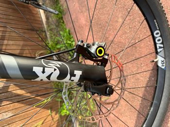 Used Canyon Exceed CF 8 2023 2023 Mountainbike, Hellgrau, 29 — image 4 of 14