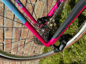 Canyon Grizl CF SL 7 Throwback 2023 2023 Road & Gravel d'occasion — image 3 sur 6