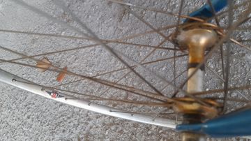 Used Cicli Adriatica CICLI PENSI CORSA 1980 Road & Gravel, Blue — image 7 of 7
