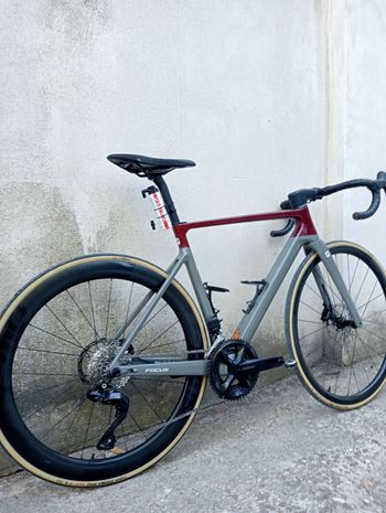 Used Focus IZALCO MAX 8.9 2024 2024 Road & Gravel, Red — image 4 of 4