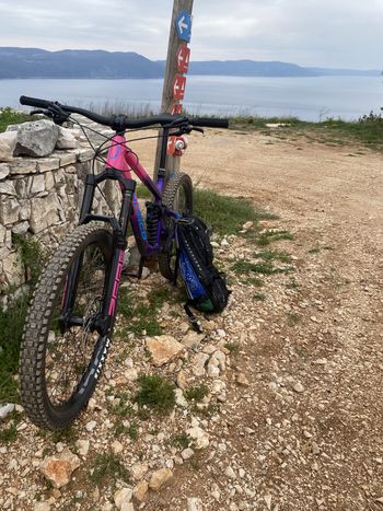 Used Norco Shore 2 2021 Mountainbike, Purple — image 5 of 6