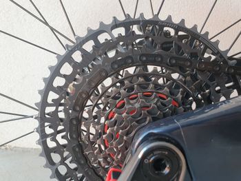 Used YT Industries Capra UNCAGED 12 29 2023 2023 Mountainbike, Blue, 29 — image 3 of 5