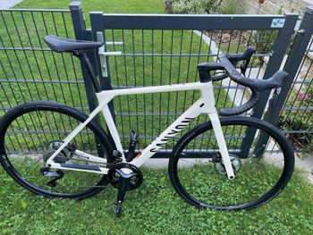 Canyon - Endurace CF 8 Di2 2024, 2024