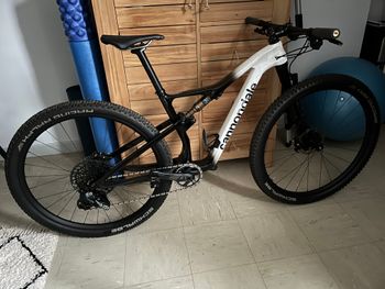 Cannondale - Scalpel Hi-MOD 1 2023, 2023