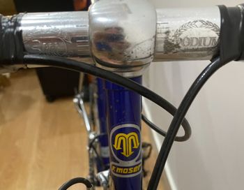 Used Francesco Moser Forma 1990 Road & Gravel, Purple — image 4 of 15