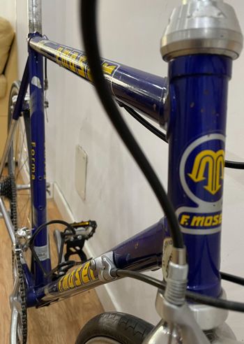 Used Francesco Moser Forma 1990 Road & Gravel, Purple — image 12 of 15