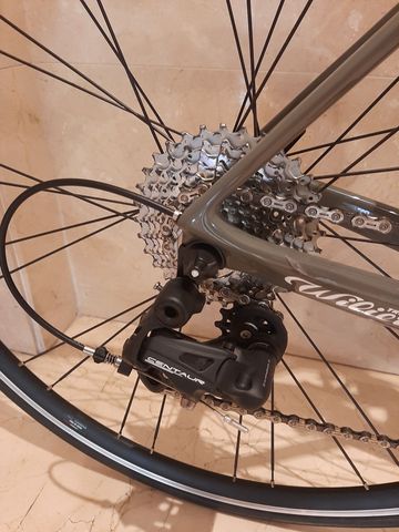 Used Wilier GTR Team CAMPAGNOLO CENTAUR 2X11 Road & Gravel, Light Gray — image 6 of 14