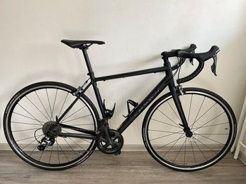 Canyon - Endurace AL Disc 8.0 2019, 2019