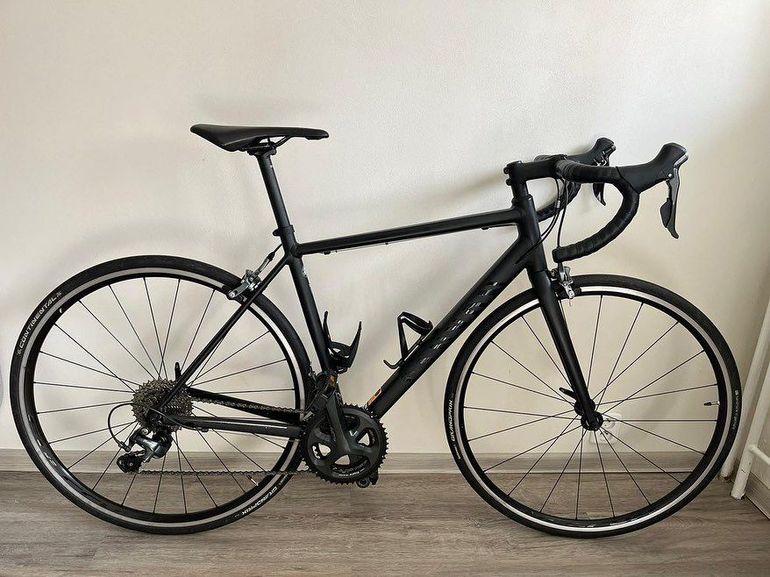 Canyon endurace al on sale