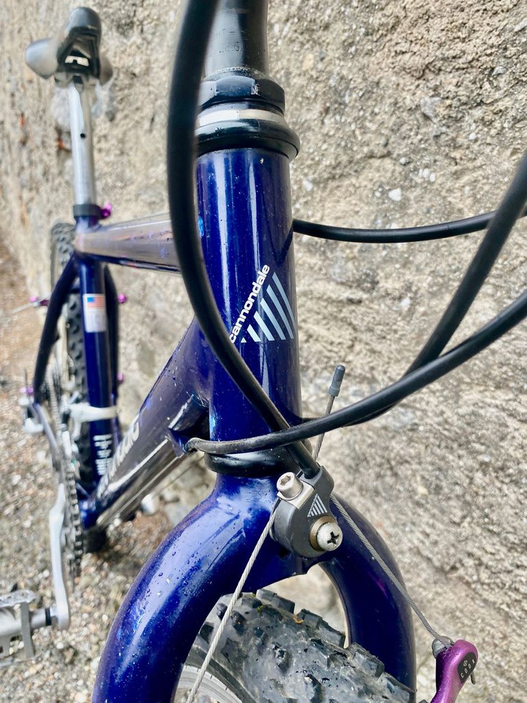 Cannondale Beast of the East 1 1989