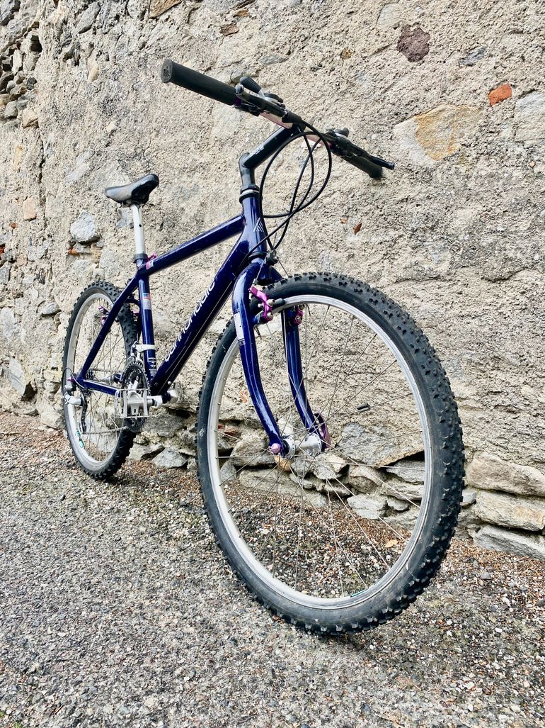 Cannondale Beast of the East 1 1989