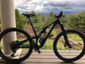 Specialized - Stumpjumper ST LTD Downieville Carbon 29 2020, 2020