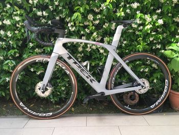 Trek - Madone SLR 6 Disc 2019, 2019