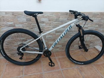 Specialized - Rockhopper Comp 29 2021, 2021