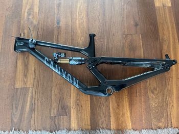 Canyon - Torque Mullet CF 9 Frameset, 2023