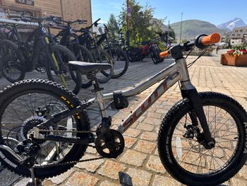 Used Scott Roxter 20 2024 Mountainbike, Light Gray — image 3 of 5