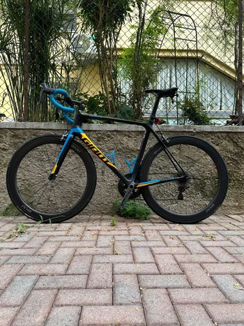 Giant - TCR ADVANCED  1, 2020