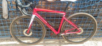 Used Specialized Tarmac SL6 Sport 2022 2022 Road & Gravel, Red — image 2 of 10