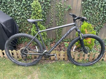 Specialized - Rockhopper Comp 29 2021, 2021