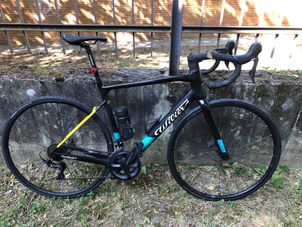 Wilier - GARDA SHIMANO ULTEGRA R8000 2022, 2022