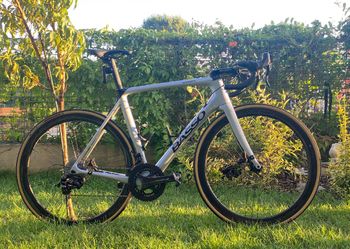 Basso - Diamante SV Campagnolo Chorus 12s Disc 2023, 2023