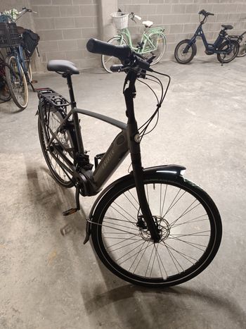 Used Gazelle Grenoble C5 HMB nexus 5 h57 2024 Road & Gravel, Light Gray — image 2 of 6