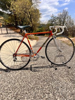 Colnago - Molteni, 1980