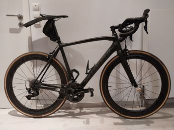 Specialized - Men's Tarmac Elite, 2016