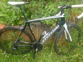 Cannondale - Synapse, 