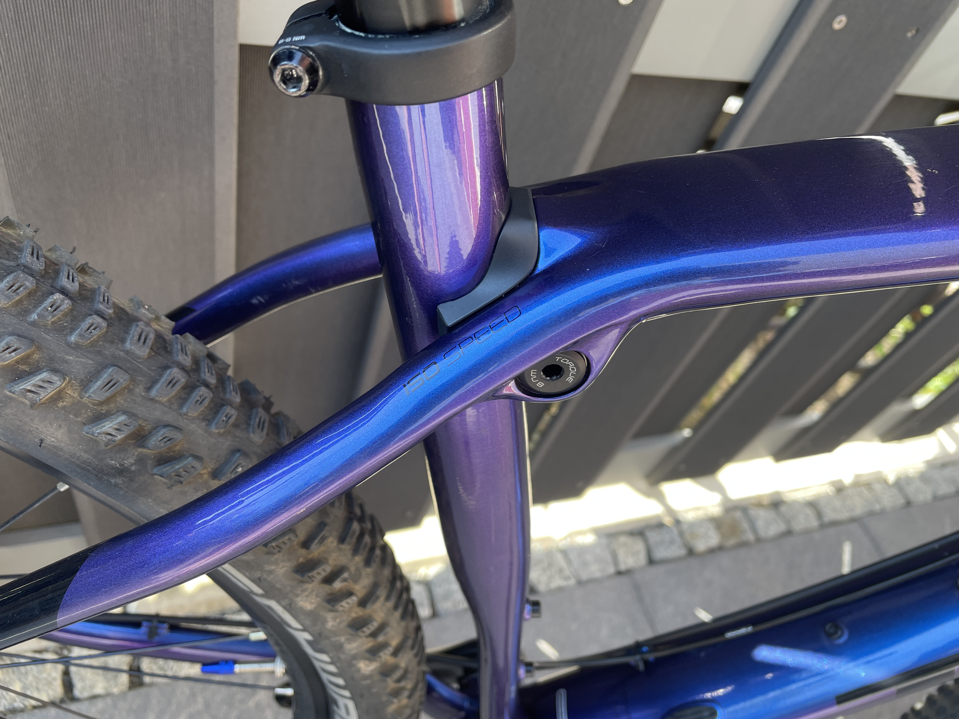 Trek procaliber 6 purple best sale phaze 2021