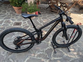 Trek - Fuel EX 7 2020, 2020