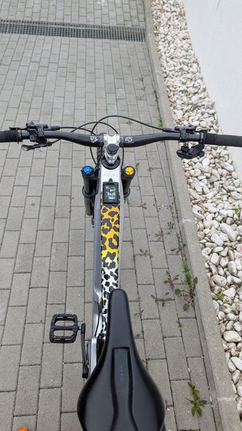 Used Crestline Crestline RS180 Silver Edition 2024 Mountainbike, Light Gray, Mixed — image 189 of 204