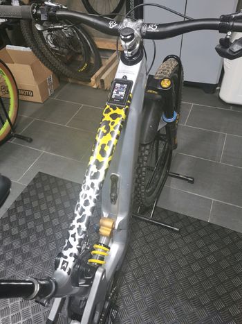 Used Crestline RS180 Silver Edition 2024 Mountainbike, Light Gray, Mixed — image 3 of 8