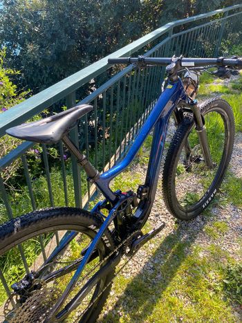 Used Liv Pique Advanced Pro 29 1 2022 2022 Mountainbike, Blue, 29 — image 3 of 6