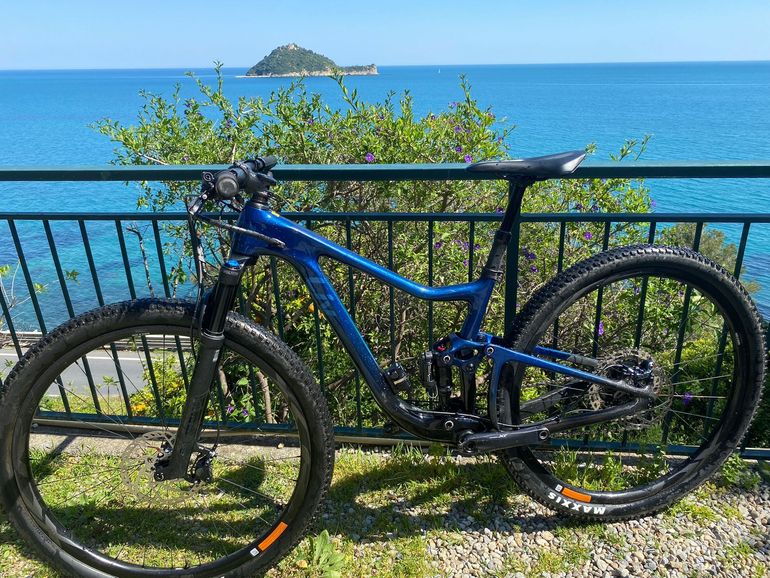 Used Liv Pique Advanced Pro 29 1 2022 2022 Mountainbike, Blue, 29 — image 6 of 6