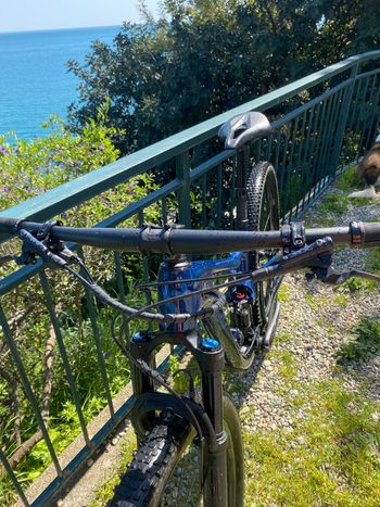 Used Liv Pique Advanced Pro 29 1 2022 2022 Mountainbike, Blue, 29 — image 4 of 6