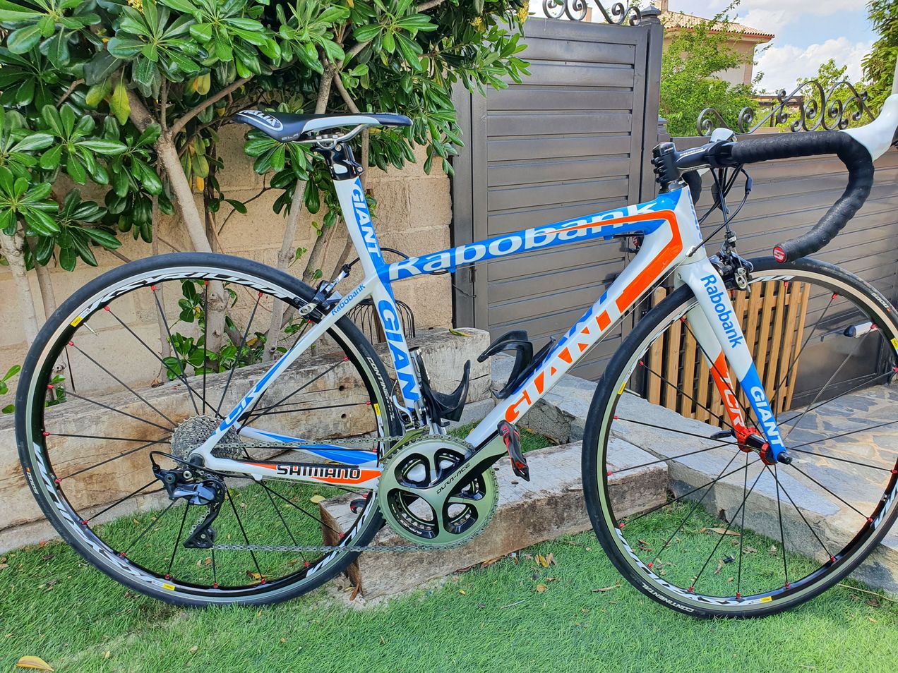 Giant tcr advanced sl rabobank sale