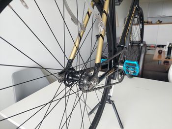 Used Cinelli Tipo Pista Track 2022 Road & Gravel — image 9 of 11