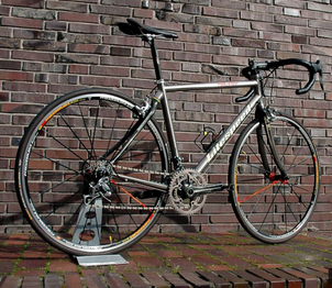 Litespeed - Siena custom, 