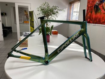 Used Cipollini MCM Allroad Disc Frameset 2021 2021 Road & Gravel, Green — image 4 of 4